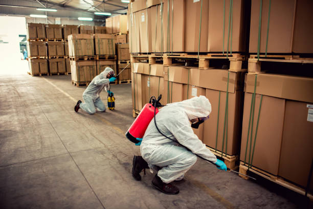Best Cockroach Control Services  in Amelia, LA